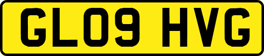 GL09HVG