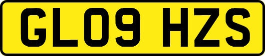 GL09HZS