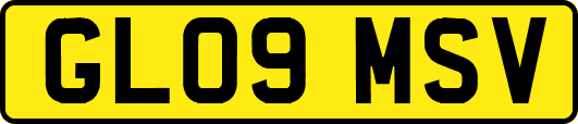 GL09MSV