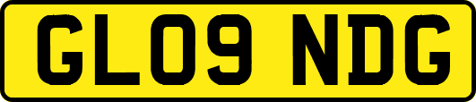 GL09NDG