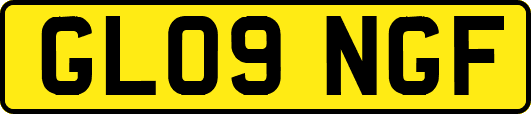 GL09NGF