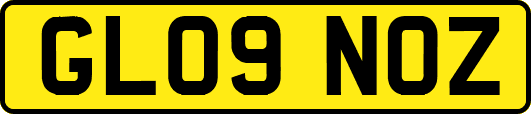 GL09NOZ