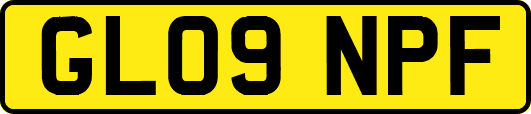 GL09NPF