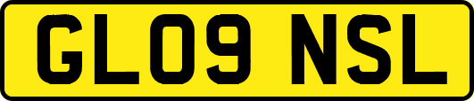GL09NSL