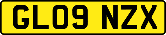 GL09NZX