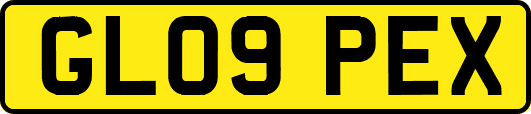 GL09PEX