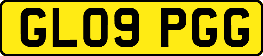 GL09PGG