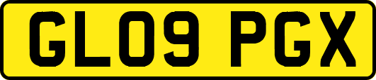 GL09PGX