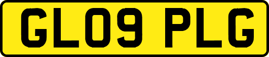 GL09PLG