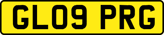 GL09PRG