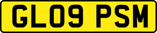 GL09PSM