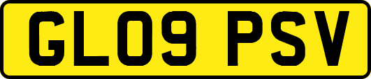 GL09PSV