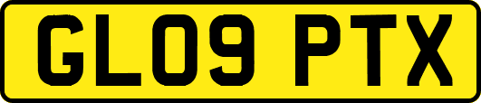 GL09PTX
