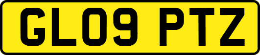 GL09PTZ