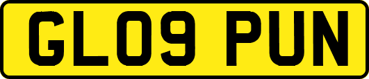 GL09PUN