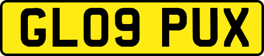 GL09PUX