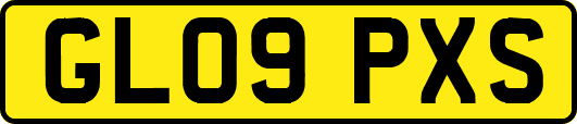 GL09PXS