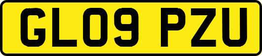 GL09PZU