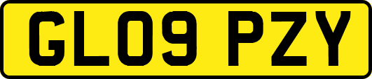 GL09PZY