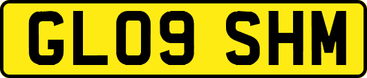GL09SHM