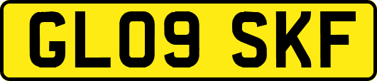 GL09SKF