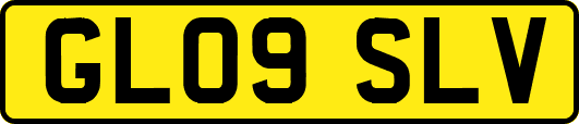 GL09SLV