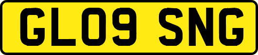 GL09SNG