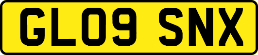 GL09SNX