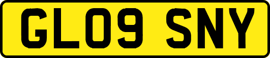 GL09SNY