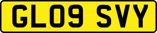 GL09SVY