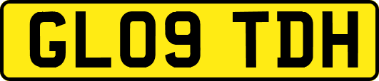 GL09TDH
