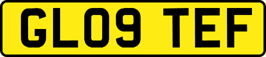 GL09TEF
