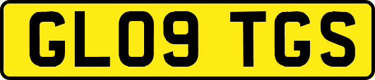 GL09TGS