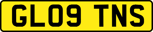 GL09TNS