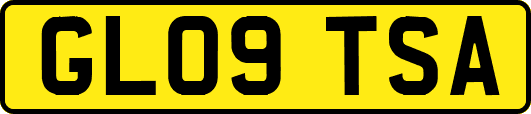 GL09TSA