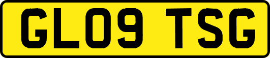 GL09TSG