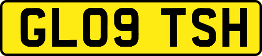 GL09TSH