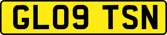 GL09TSN