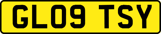 GL09TSY