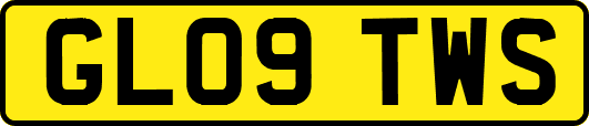 GL09TWS