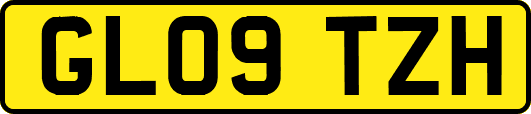 GL09TZH