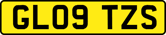 GL09TZS