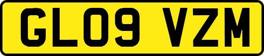 GL09VZM