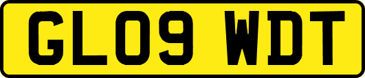GL09WDT