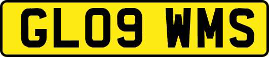 GL09WMS