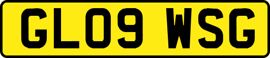 GL09WSG
