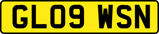 GL09WSN