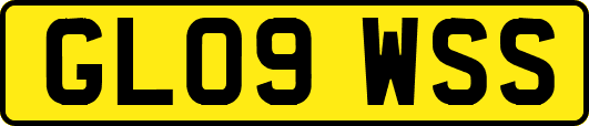 GL09WSS