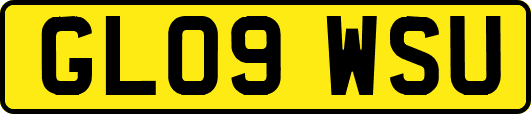 GL09WSU