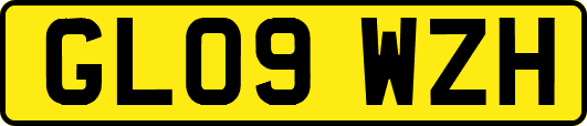 GL09WZH